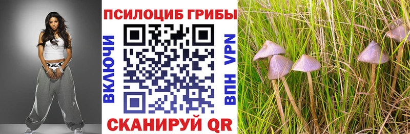 Псилоцибиновые грибы Cubensis  Элиста 